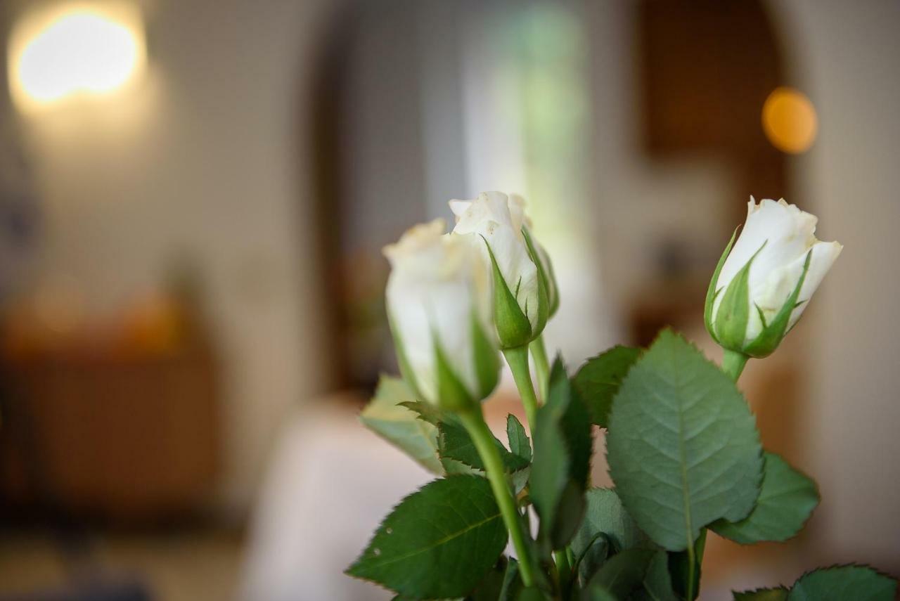 Bed And Breakfast Sweet Home Tirano Exterior foto